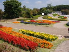 馬見花苑と花の広場2