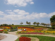 馬見花苑と花の広場1