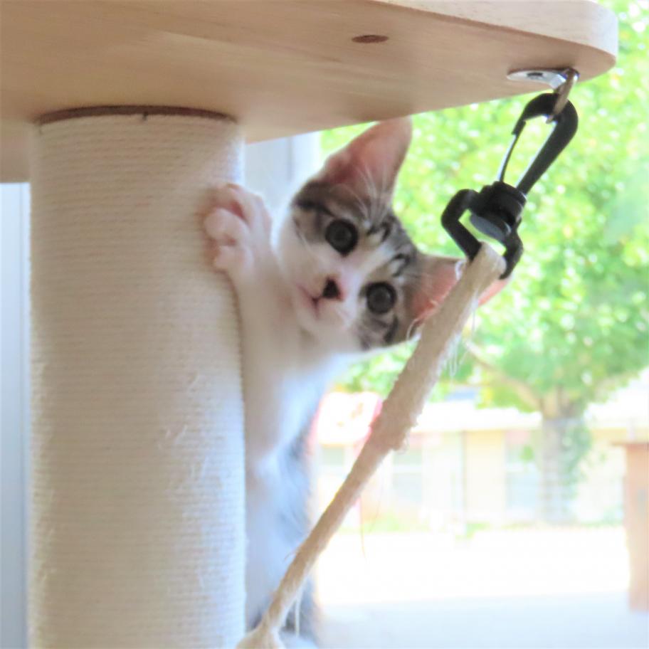 ふくすけ1
