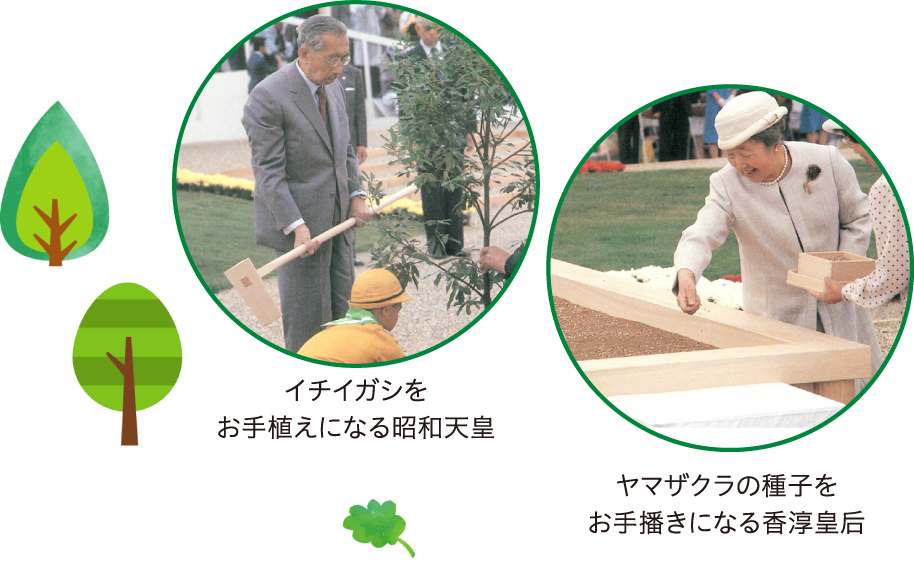 toku1-04 2609