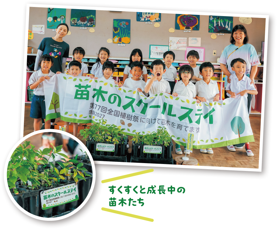 toku1-10 2609