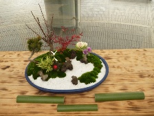 関西風寄せ植え