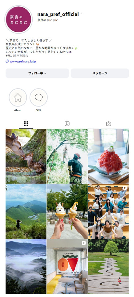 Instagramプロフィール画面