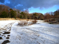 中央エリアの水分広場　雪景色の様子