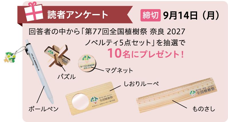 info12 2609