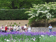 菖蒲園5