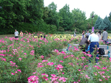 バラ園