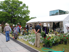植木市1