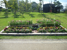 県民行動花壇『馬見グリーンクラブ』