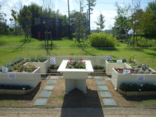 県民協働花壇『NPO法人奈良グリーンサポートネット』