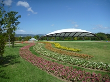 集いの丘の花壇1