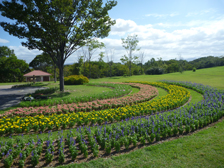 集いの丘の花壇2