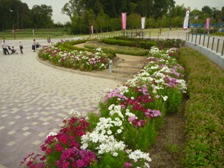 花見茶屋西側花壇