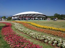大型テント前の花壇