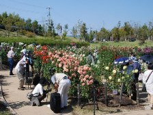 写真を撮っている様子