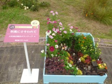 花壇コンテスト人気投票2位作品