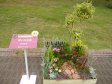 花壇コンテスト人気投票3位作品