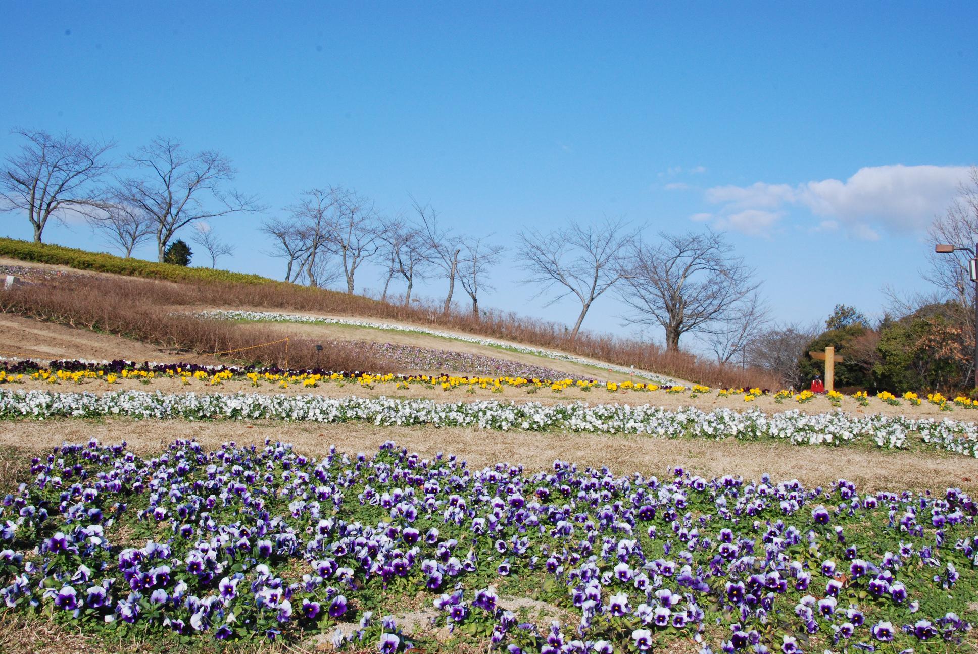 うまみかえん全景