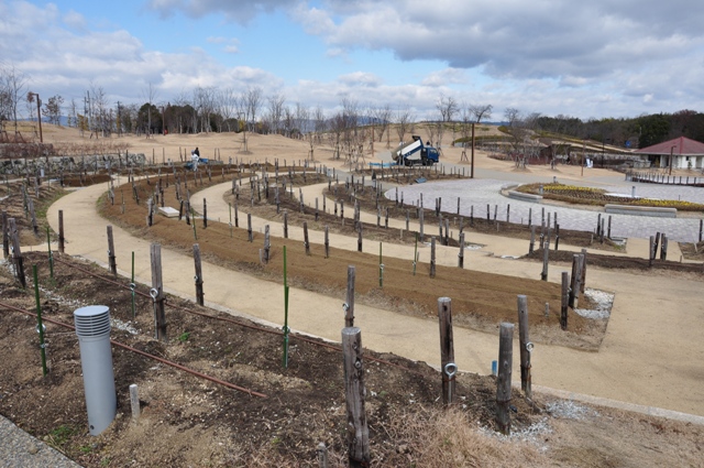 用土入れがはじまったダリア園