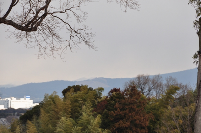 一本松古墳から若草山を望む