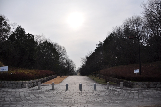 春曇の中央エリア歩道