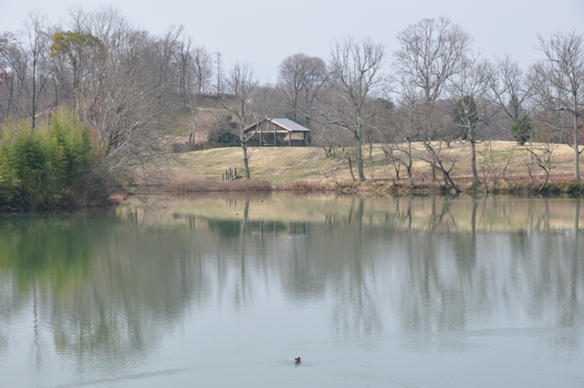 のどかな下池の様子