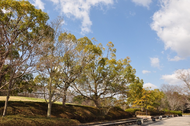 晴れの一日の始まり