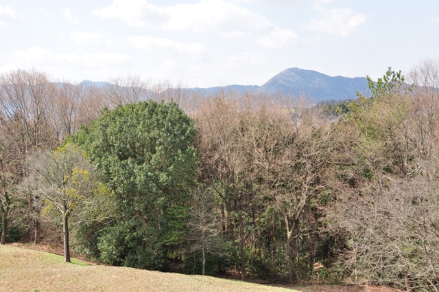ナガレ山古墳から二上山を望む