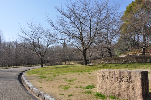 満開が楽しみな陽だまり広場