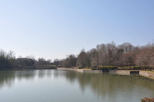 静けさが戻った上池