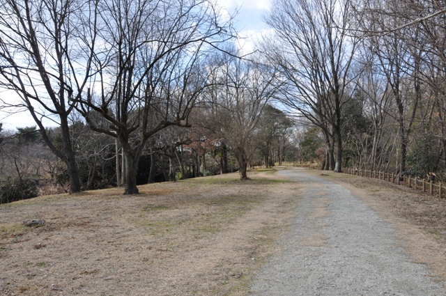 乙女山古墳横の園路（中央エリア）