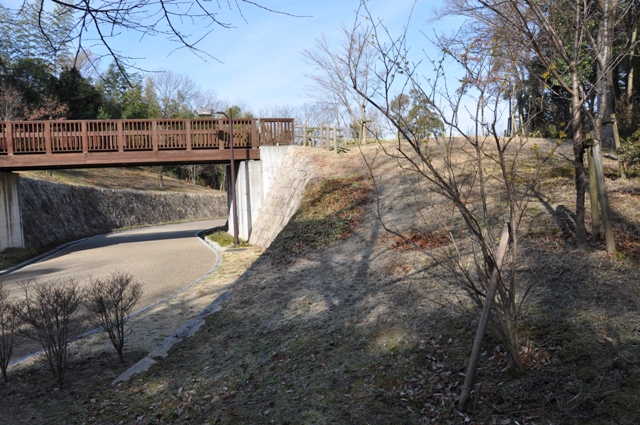 緑道と万作の木