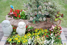 花壇コンテスト2