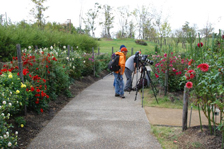 ダリア園の様子6