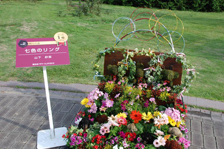 花壇コンテスト人気投票　個人の部1位作品