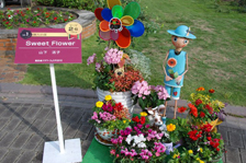 花壇コンテスト人気投票　個人の部2位作品