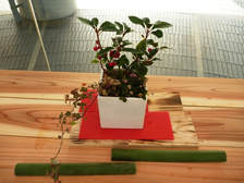 正月の寄せ植え12