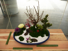 正月の寄せ植え2