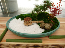 正月の寄せ植え3