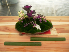 正月の寄せ植え6