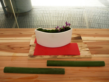 正月の寄せ植え7