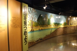 自然を見つめよう