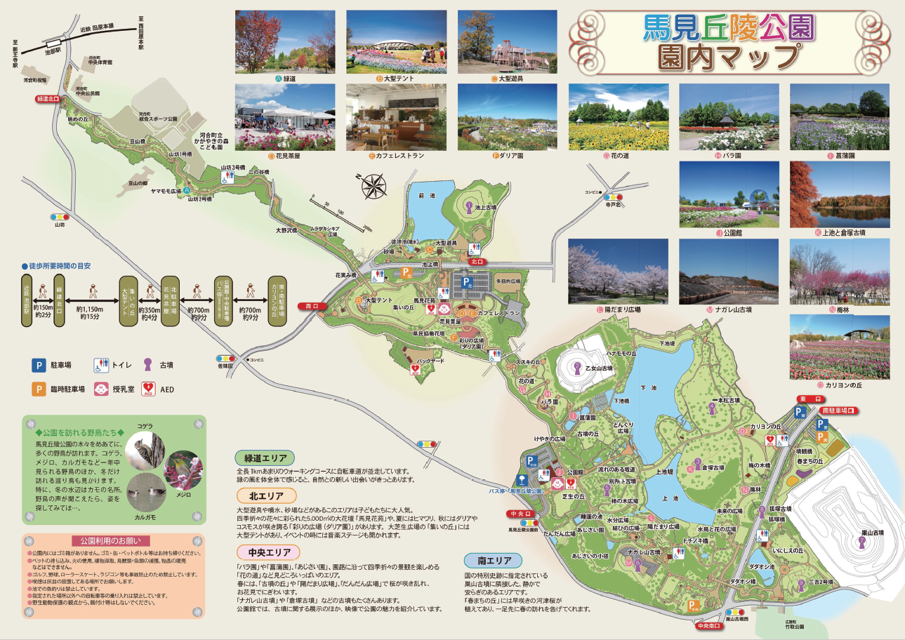 園内マップ内面