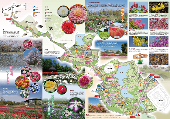 季節の花時間リーフレット内面