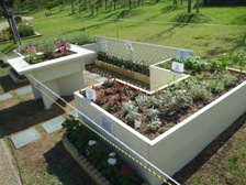 県民協働花壇活動3