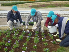 花緑ボランティア活動3