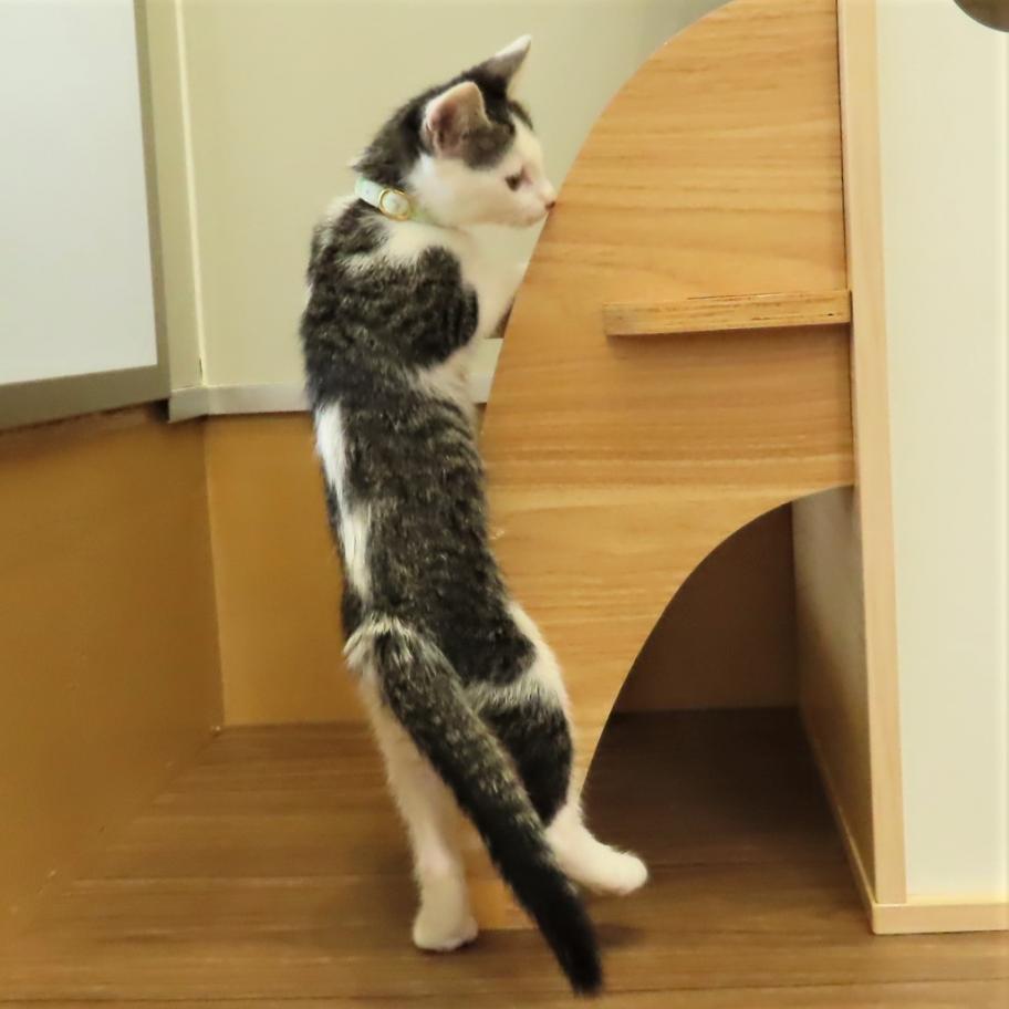 すぴ2