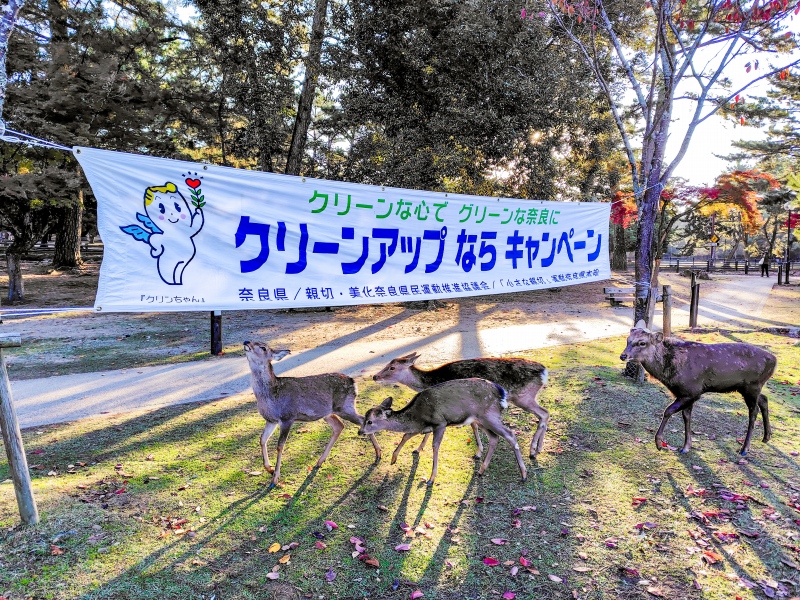 クリーンアップならキャンペーン横断幕