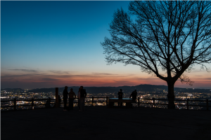 若草山山頂夜景