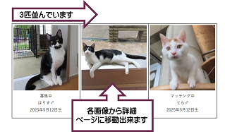 表示形式説明画像